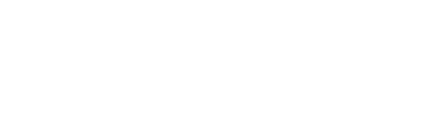 topindogroup.com